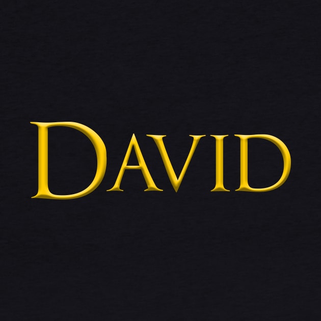 David Male Name Gold On Dark by funfun